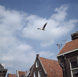 119959 Afbeelding van een ooievaar die wegvliegt van zijn nest op het dak van het hoekhuis Oude Huijgensteeg en ...